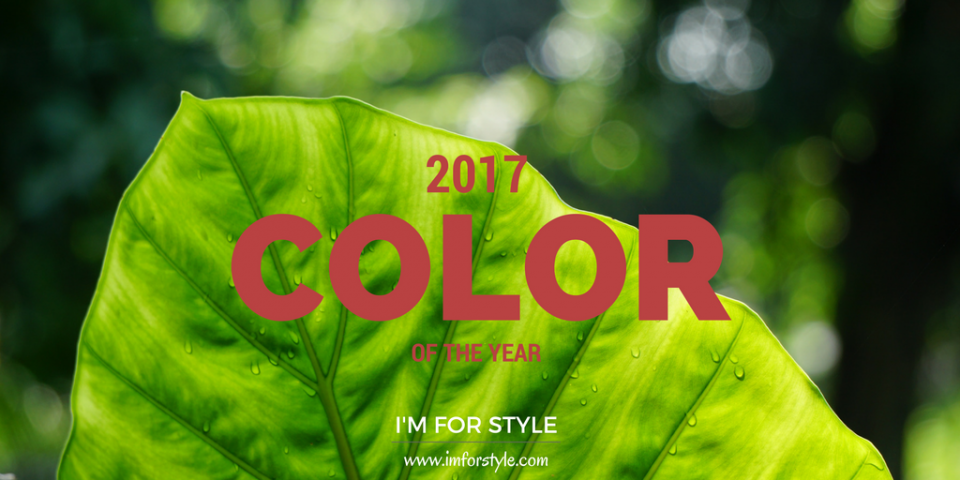 greenery, color of the year 2017, pantone, imforstyle, aanchal prabhakar jagga, color, 2017, colors for men, men colors, menstyle, menstyle blog, fashion, style